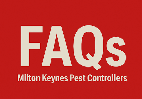 faqs-milton-keynes-bedbug-control