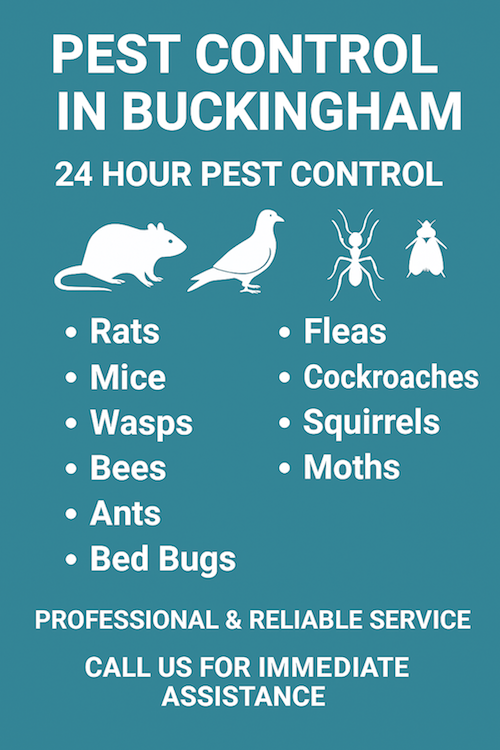 How Much Is Pest Control In Buckingham