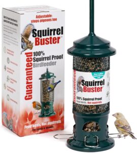 Squirrel Proof Bird Feeder