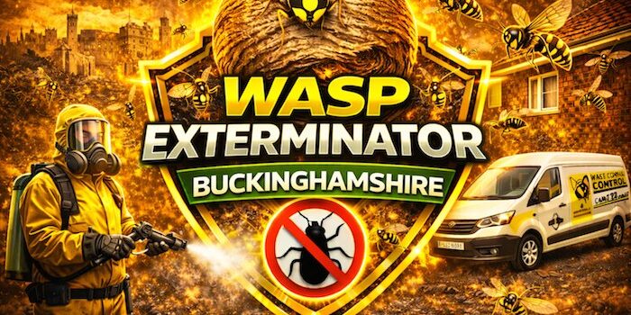 Emergency Wasp Treatments in Gerrards Cross